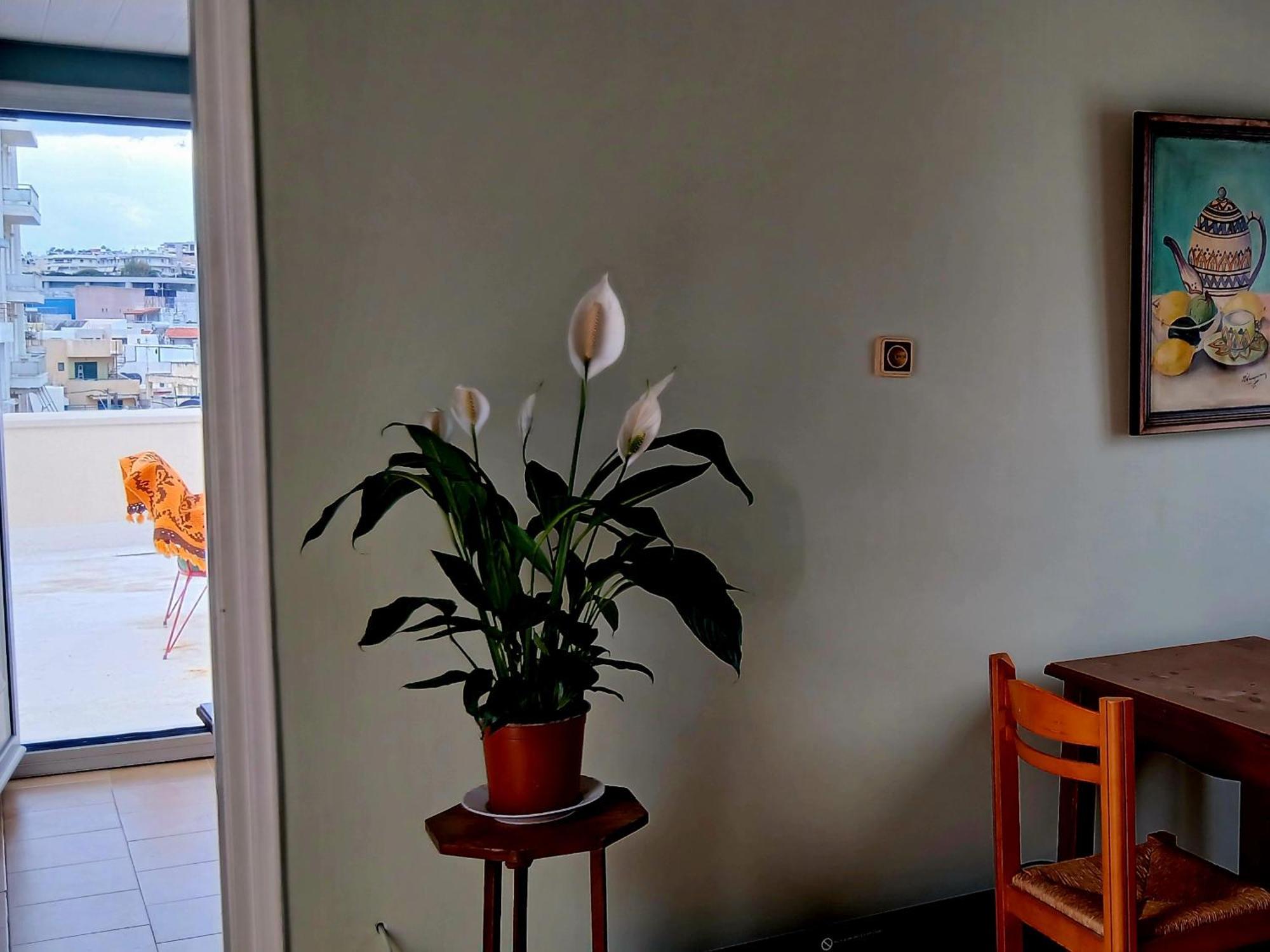 Apartment Doukas Herakleio Crete *